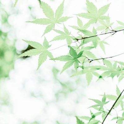 伊朗拒绝美国停战方案